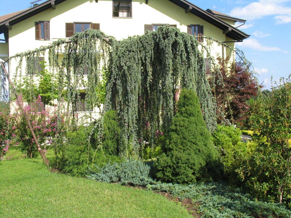 Albergo Residence Isotta Veruno Exterior foto